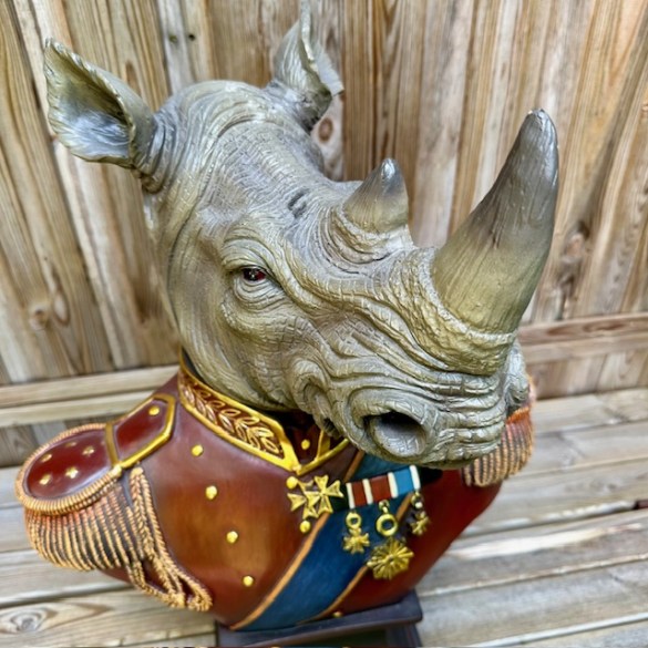 Rhino 6